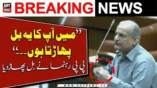 PPP Leader Raza Rabbani strongly criticizes factional legislation in the Senate - ARY News
