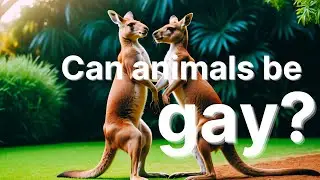 Can Animals be Gay?