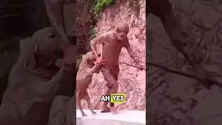 Dogs Living Their Best Muddy Life #cutedog #pets #animals