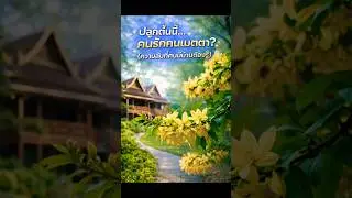 Ep.86🌳 ต้นพะยอม ไม้มงคลหายากที่ต้องมีติดบ้าน! Rare Sacred Tree