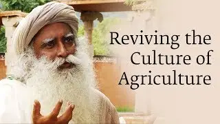 Reviving the Culture of Agriculture | Sadhguru