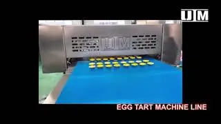 Egg tart and pie machine line bakery industry