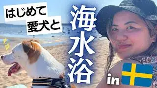 【北欧も猛暑？】愛犬と念願のビーチ🍉臨月妊婦の夏の過ごし方⛱️