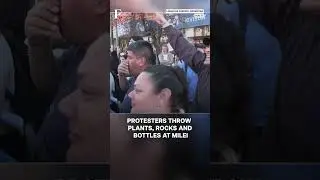 Watch: Argentina's President Javier Milei Pelted with Stones During Campaign Event | N18G
