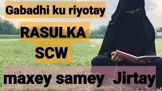 Qisas wa cibar