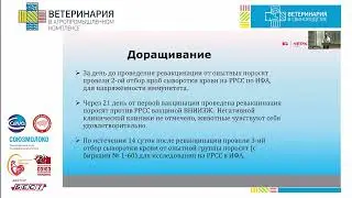 Головин А.Н. Опыт разработки и внедрения инактивированной вакцины против РРСС из местных штаммов.