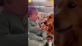 toddler and dog #shorts #story #life #fyp #foryou #funny #dog #dogs #dogshorts