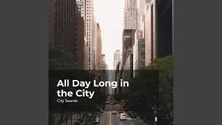 Wander in the City