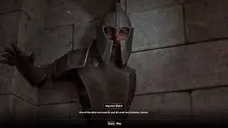 No Problems, Ma'am. (Oblivion Funny Moments)