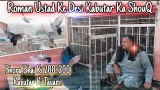 💥 200+200 Kabutar Tayari | Bhora Bhai & Roman Ustad Ka Desi ShouQ 😎🔥
