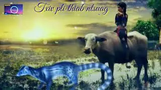 Txiv pli thiab ntsuag mu  siv tswv yim  21/6/2021