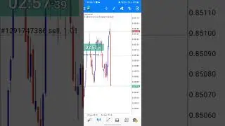 CHF SNB Interest Rate Decision September 2024 Fundamental News Trading