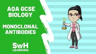 Monoclonal Antibodies | AQA GCSE Biology | SwH Learning