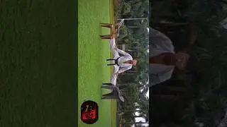 😱💀😱middle  split  on🪑 chair 🪑🥋Feel the stretch, embrace the journey.&ldquo;Empty your mind, be formless