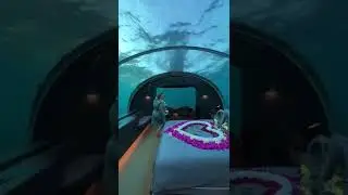 Maldives underwater hotel $50k/night #shorts