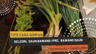 Tips Cara Simpan Seledri dan Daun Bawang Agar Tetap Hijau, Awet dan Tahan Lama