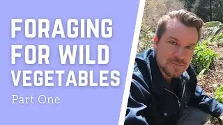 Foraging for Wild Vegetables in Northern Japan - 1