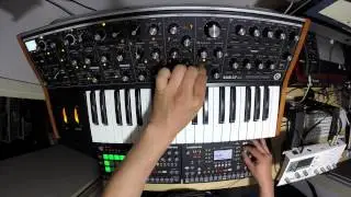 Moog SUB37 + Octatrack + RYTM