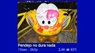 GATURRO NO DURA NADA