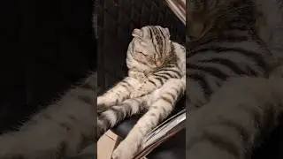 A good sleep after a long day