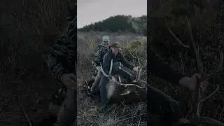 Elk hunting off dirt bikes #wstrnelvtn #elk #hunting #wapiti #dirtbike #westernelevation #ktm