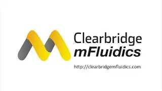 Clearbridge Accelerator: Technology Overview