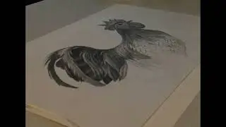 Custom Art - Rooster Progression Short