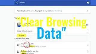 Delete Cookies in Google Chrome