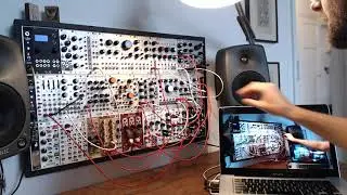 Tapographic Delay (TAPO) from 4ms Company and Matthias Puech -- Springtime
