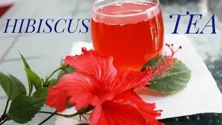 Hibiscus tea | Tea recipe | Hibiscus tea helps for diabetics | Healthy drink | Herbal Tea
