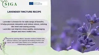 RECIPE FOR LAVENDER TINCTURE
