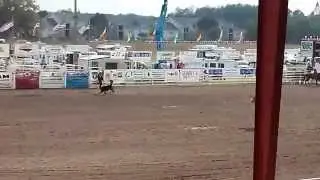 21st Annual Florida Gateway Pro Rodeo - Tie Down Roping