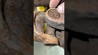 More Ford ,found on road dead