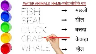 Pet Animals name in english hindi || pet animal names | wild animals name wild animals | #pets