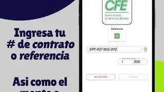 Conoce la app de Pagos Digitales