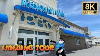Jenkinson's Boardwalk Aquarium (Point Pleasant, New Jersey) - 8K Full Tour & Travel Review