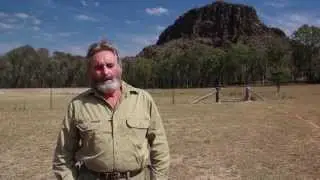 Wild dog management - monitoring for activity