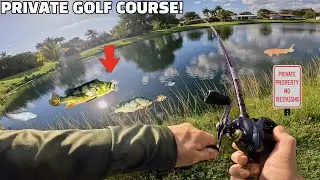 FISHING in PRIVATE Miami GOLF COURSE ponds! (NEW PB)