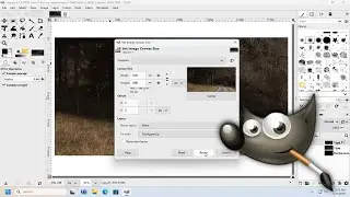 How To Change Canvas Size on GIMP [Guide]