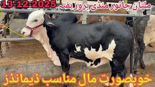 Multan Janwar Mandi Saturday Latest Rates Updates | December 13, 2025