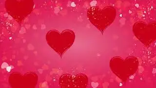 Pink Valentine Aesthetic 💗 Soft Romantic Visuals (30 Minutes, Visual Only)｜粉色情人節美感畫面・30 分鐘浪漫視覺