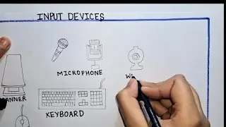 Input Devices of Computer | Keyboard, Mouse, Scanner & More 