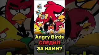Angry Birds следили за вами всю жизнь