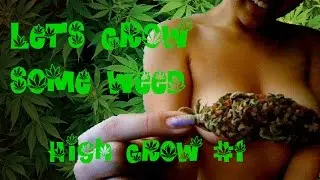 Let's Grow some Weed #1 Das Game, digiheld, DréDeluxe & Strolchikiller (Let's Play High Grow German)