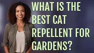 What is the best cat repellent for gardens?