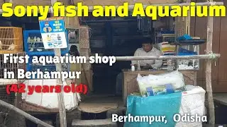 Oldest aquarium shop in Berhampur, Odisha (Odia / Hindi ) || Sony Fish n Aquarium shop visit