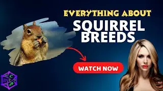 Diverse Squirrel Breeds and Their Unique Traits