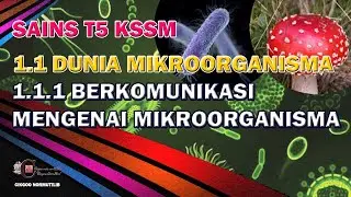 1.1 Dunia Mikroorganisma : Bahagian 1 | SAINS KSSM T5