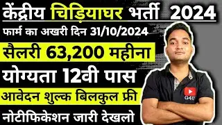 Central Zoo Authority Recruitment 2024 | Government Job Latest Vacancy 2024 | New Jobs October 2024
