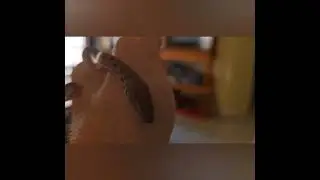 Aria. Childrens (Childreni) Python. 40G. Dec 2025